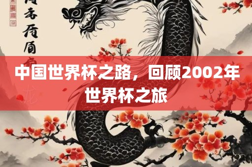 中国世界杯之路，回顾2002年世界杯之旅
