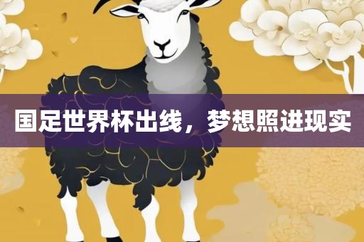 国足世界杯出线，梦想照进现丹东日丰电子有限公司实