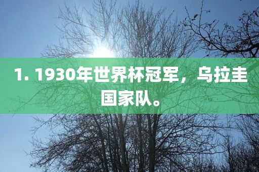 1. 1930年世界杯冠军，乌拉圭国家队。丹东日丰电子有限公司