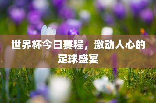 世界杯今日赛程，激动人丹东日丰电子有限公司心的足球盛宴