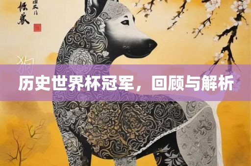 历史世界杯冠军，回顾与解析丹东日丰电子有限公司