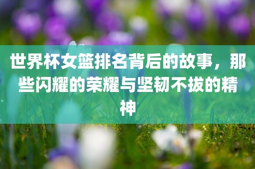 世界杯女篮排名背后的故事，那些闪耀的荣耀与坚韧不拔的精神丹东日丰电子有限公司