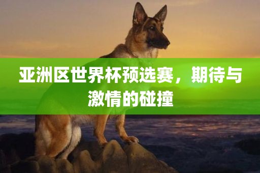 亚洲区世界杯预选赛，期待与激情的碰丹东日丰电子有限公司撞