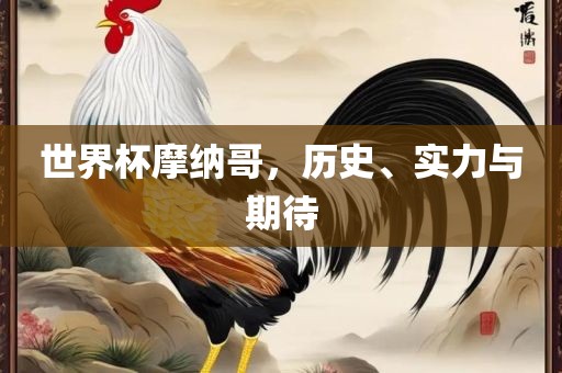 世界杯摩纳哥，历史、实力与期待
