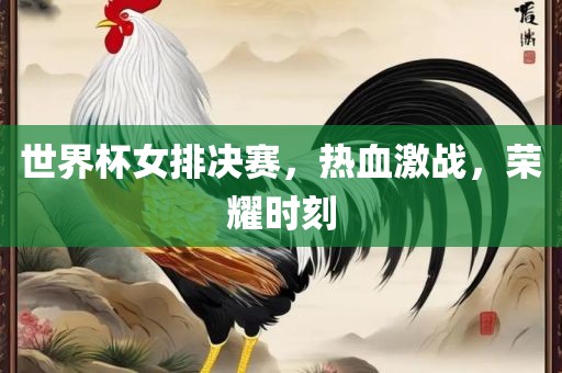 世界杯女排决赛，热血激战，荣耀时刻