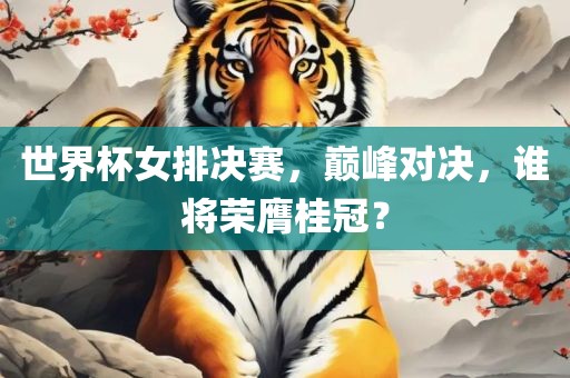 世界杯女排决赛，巅峰对决，谁将荣膺桂冠？