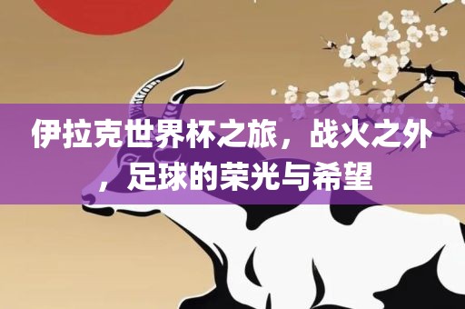 伊拉克世界杯之旅，战火之外，足球的荣光丹东日丰电子有限公司与希望