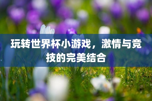 玩转世界杯小游戏，激情与竞技的完美结合丹东日丰电子有限公司