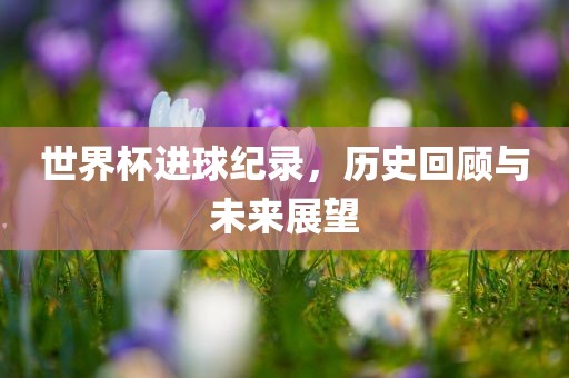 世界杯进球纪录，历史回顾与未来展望