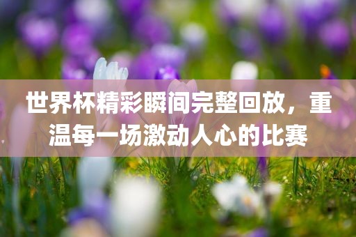 世界杯精彩瞬间完整回放，重温每一场激动人心的比赛丹东日丰电子有限公司
