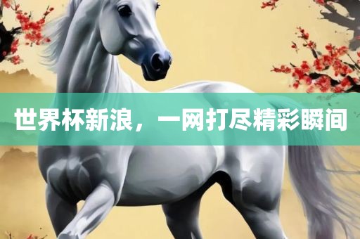 世界杯新浪，一网打尽精彩瞬间丹东日丰电子有限公司