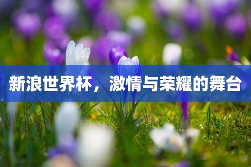 新浪世界杯，激情与荣耀的舞台丹东日丰电子有限公司