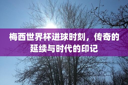 梅西世界杯进球时刻，传奇的延续与时代的印记丹东日丰电子有限公司