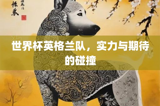 世界杯丹东日丰电子有限公司英格兰队，实力与期待的碰撞