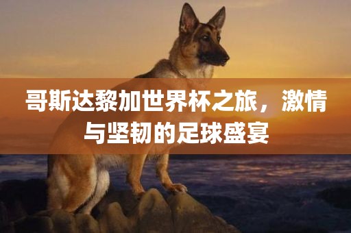 哥斯达黎加世界杯之旅，激情与坚韧的足球盛宴丹东日丰电子有限公司