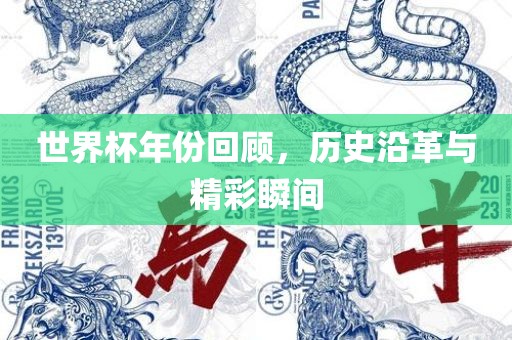 世界杯年份回顾，历史沿革与精彩瞬间丹东日丰电子有限公司
