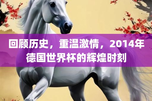 回顾历史，重温激情，2014年德国世界杯的辉煌时刻丹东日丰电子有限公司