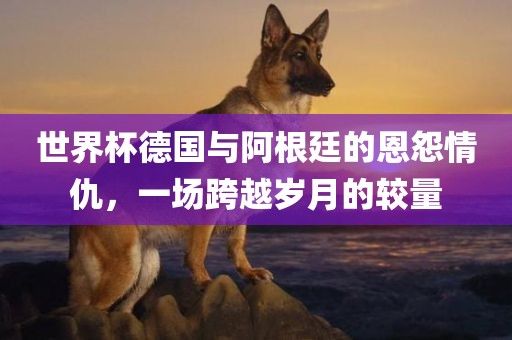 世界杯德国与阿根廷的恩怨情仇，一场跨越岁月的较量丹东日丰电子有限公司