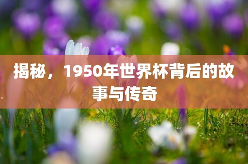 揭秘，1950年世界杯背后的故事与传奇
