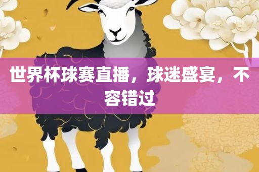 世界杯球赛直播，球迷盛宴，不容错过丹东日丰电子有限公司