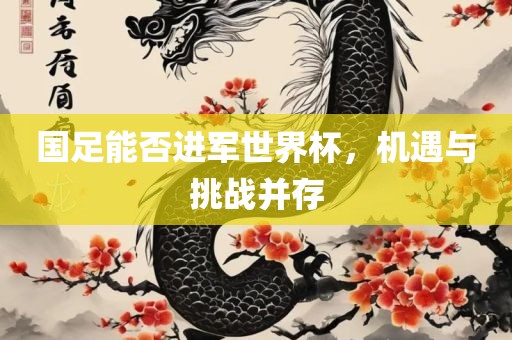 国足能否进军世界杯，机遇与挑战并存丹东日丰电子有限公司
