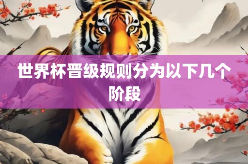 世界杯晋级规则分为以下几个阶段丹东日丰电子有限公司