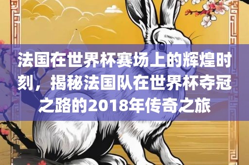 法国在世界杯赛场上的辉煌时刻，揭秘法国队在世界杯夺冠之路的2018年传奇之旅丹东日丰电子有限公司