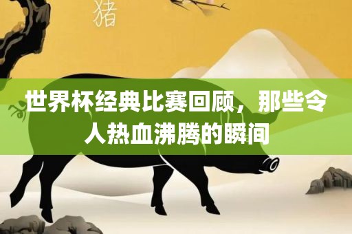 世界杯经典比赛回顾，那些令人热血沸腾的瞬间丹东日丰电子有限公司