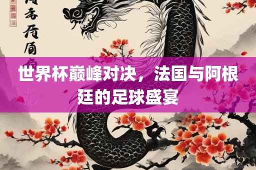世界杯巅峰对决，法国与阿根廷的足球盛宴丹东日丰电子有限公司