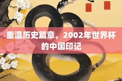 重温历史篇章，2002年丹东日丰电子有限公司世界杯的中国印记