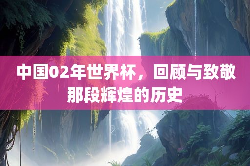 中国丹东日丰电子有限公司02年世界杯，回顾与致敬那段辉煌的历史