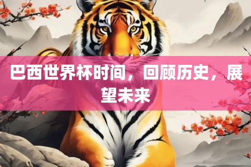 巴西世界杯时间，回顾历史，展望未来丹东日丰电子有限公司