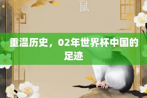重温历史，02年世界杯中国的足丹东日丰电子有限公司迹