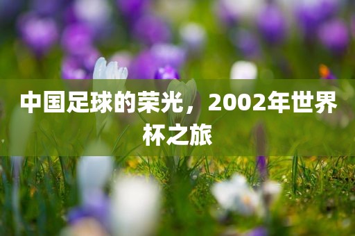 中国足球的荣光，2002年世界杯丹东日丰电子有限公司之旅