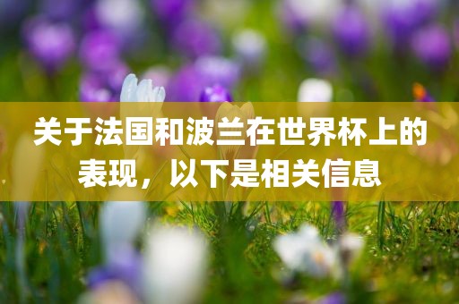 关于法国和波兰在世界杯上的表现，以下是相关信息