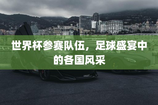 世界杯参赛队伍，足球盛宴中的各国风采