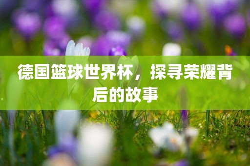 德国篮球世界杯，探寻荣耀背后的故事丹东日丰电子有限公司