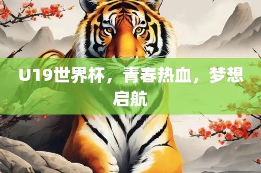 U19世界杯，青春热血，梦想启航丹东日丰电子有限公司