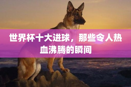 世界杯十大进球，那些令人热血沸腾的瞬间丹东日丰电子有限公司