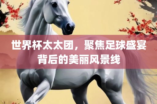 世界杯太太团，聚焦足球盛宴背后的美丽风景线