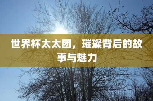 世界杯丹东日丰电子有限公司太太团，璀璨背后的故事与魅力