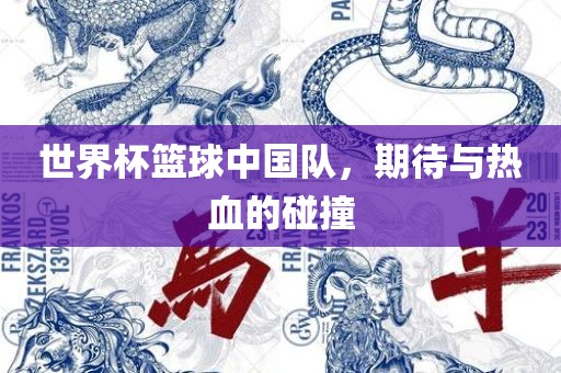 世界杯篮球中国队，期待与热血的碰撞丹东日丰电子有限公司