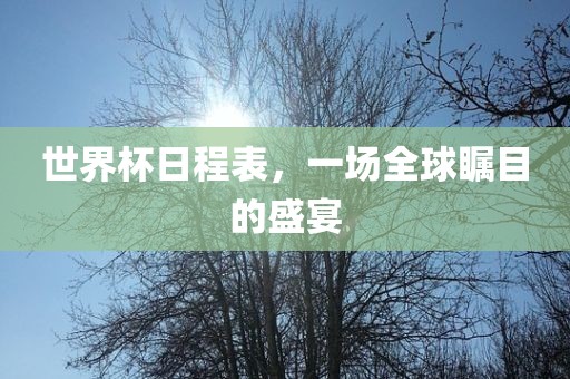 世界杯日程表，一场全球瞩目的盛宴丹东日丰电子有限公司