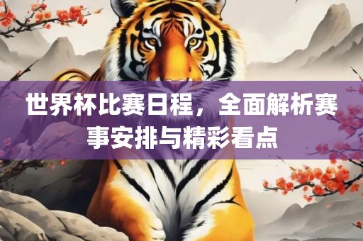 世界杯比赛日程，全面解析赛事安排丹东日丰电子有限公司与精彩看点