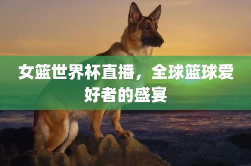 女篮世界杯直播，全球篮球爱好者的盛宴