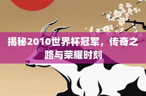揭秘2010世界杯冠军，传奇之路与荣耀时刻丹东日丰电子有限公司