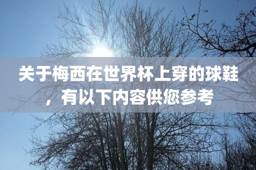 关于梅西在世界杯上穿的球鞋，有以下内容供您参考丹东日丰电子有限公司