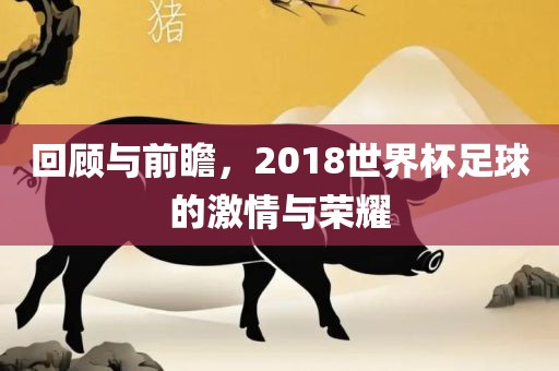回顾与前瞻，2018丹东日丰电子有限公司世界杯足球的激情与荣耀