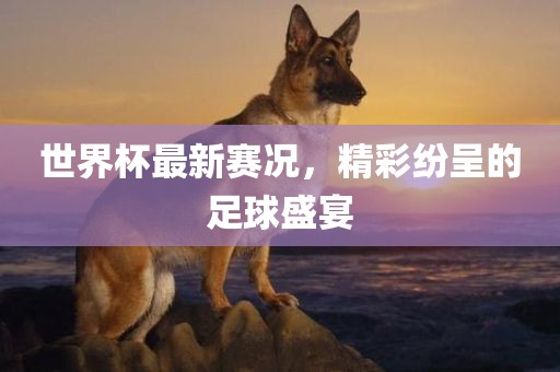 世界杯最新赛况，精彩纷丹东日丰电子有限公司呈的足球盛宴