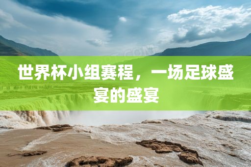 足球盛宴 第15页